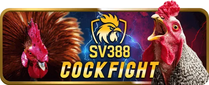 Trải nghiệm đá gà trực tuyến tại bigbet88 link mới